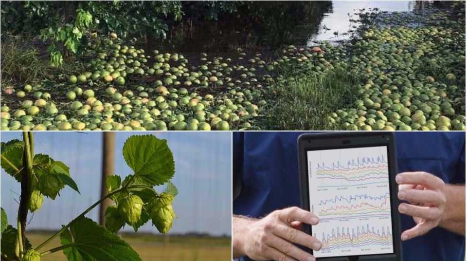 2017 a Standout Year for Florida Agriculture – in More Ways Than One
