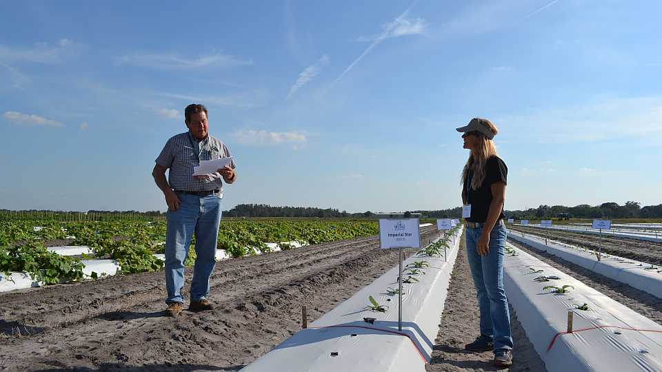 Learning in the Field