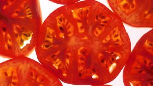 A Plant Breeder Explains How GE Techniques Differ from Non-GMO Breeding