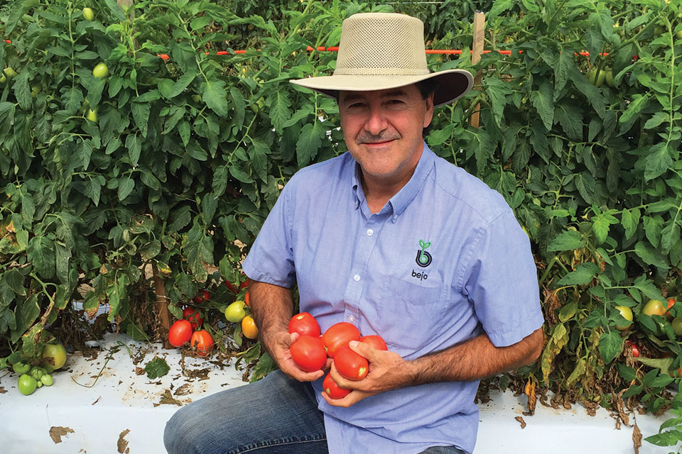 Key Factors Reshaping the World of Tomato Breeding Now