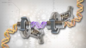Confused About GMO and CRISPR Technology? Let Science Settle It