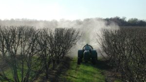 Minor Crop Farmer Alliance Welcomes New Leader