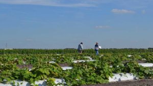 Dry Season Finally Getting Upper Hand in the Sunshine State