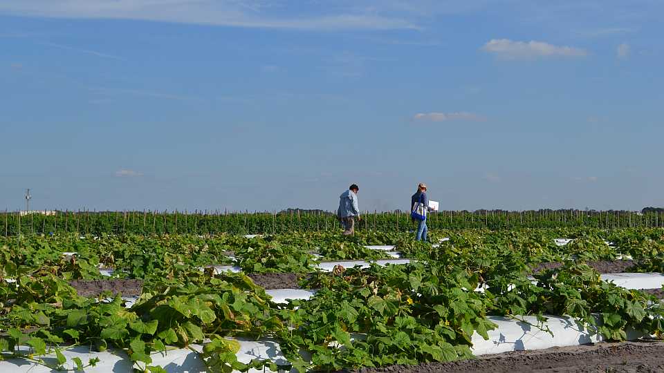 Field Tour Time