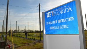 Research on Florida Hops Forced to Dig Deeper