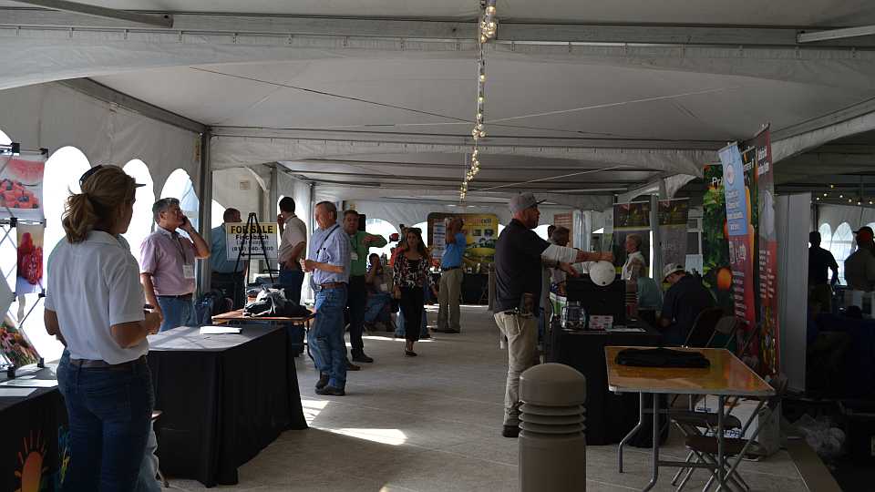 Vendor Views