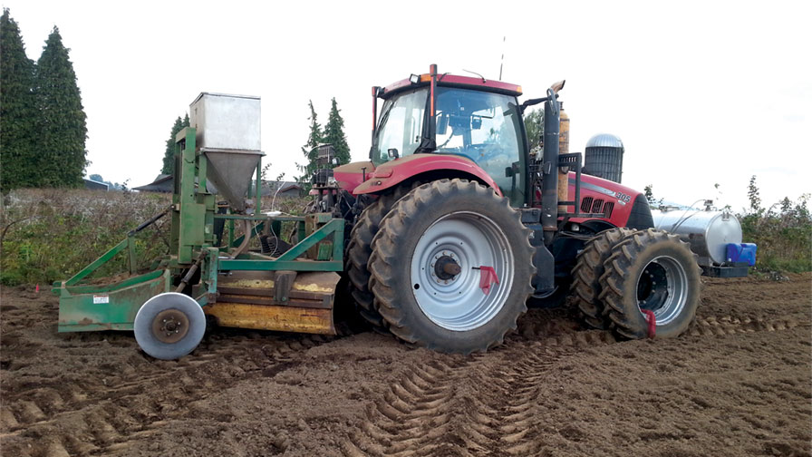 New Pest Control Tool for Raspberry Growers