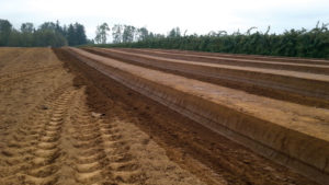 New Alternative to Soil Fumigation for Nematodes, Weeds, and More