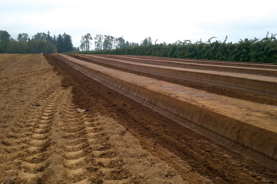 New Alternative to Soil Fumigation for Nematodes, Weeds, and More