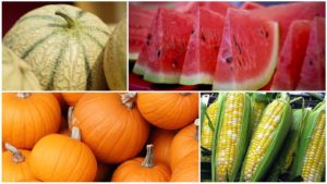 The Most Volatile Vegetable Crops for 2018