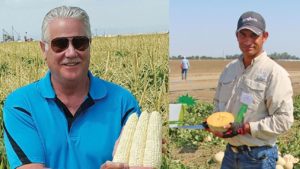 Taste Is Back on the Front Burner for Vegetable Breeders
