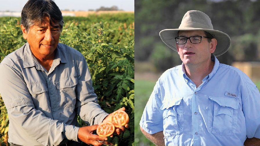 Vegetable Breeders Making Major Disease Resistance Breakthroughs