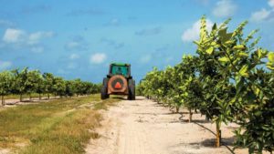 Florida Citrus Mutual Shifts into High Gear