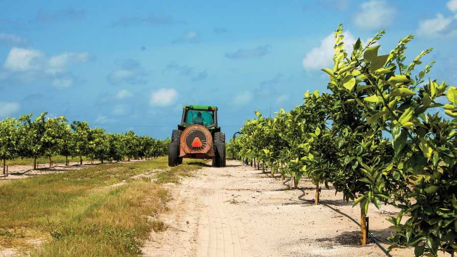 Reasons More Produce Growers Should Resolve to Talk About Pesticides