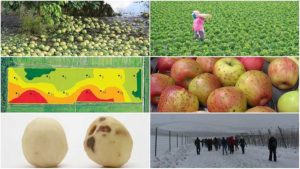 6 Stories That Stirred the Specialty Crop Pot in 2017