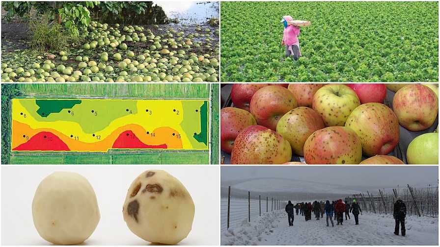6 Stories That Stirred the Specialty Crop Pot in 2017