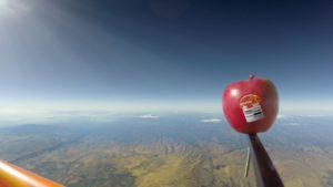 ‘Autumn Glory’ Apple Soars into Space