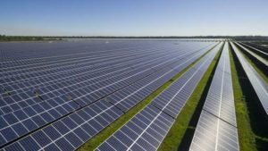 How More Farms Can Add Electric Co-Ops With Help of New USDA Loans