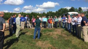 Research Results Show Citrus Greening-Tolerant Trees in Reach