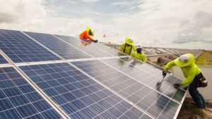 Future Looks Sunnier for Growing Food Crops Under Solar Panels
