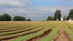 3 Tips to Boost Your Farm’s Conservation Efforts