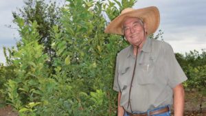 Why Lemon Appeal Is Gaining Favor With Florida Growers