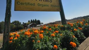 Nearly $18M in Organic Agriculture Grants Available