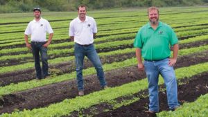 How to Start a Vegetable Farm with a Big Grower Mentality