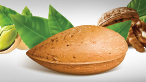 Nut Growers Say They’re Feeling Pricing Pinch