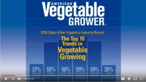The Top Trends in Vegetable Growing