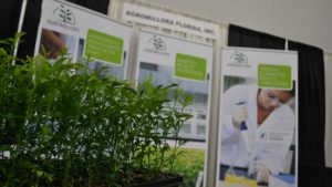 Counting Tissue Culture