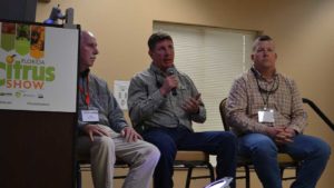 Florida Citrus Growers Not Backing Down from Destruction or Disease