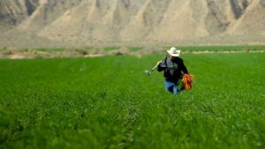 Forces That Will Impact the Agriculture Economy in 2021