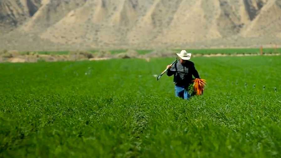 Looking up: Amended Farm Sector Income Forecast Yields Positive Growth