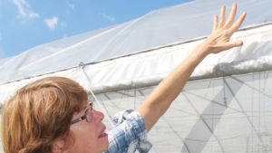 Berry Grower Says She’s Beating Spotted Wing Drosophila With Netting