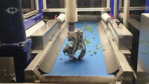 Can Robotic Transplanters Pick Up the Pace for Plant Cuttings?