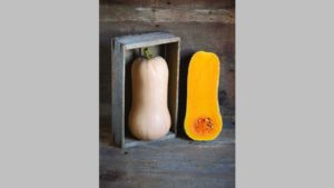 Winter Squash: Waldo [Johnny’s Selected Seeds]