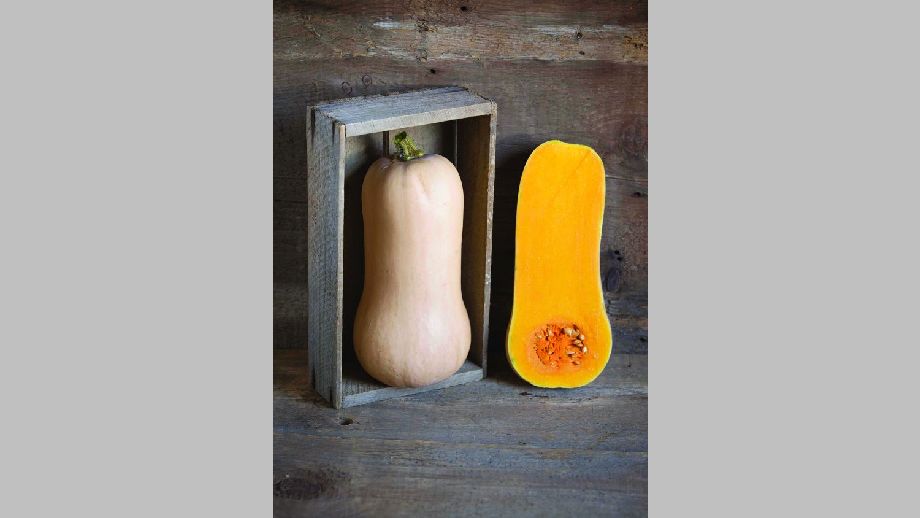 Winter Squash: Waldo [Johnny’s Selected Seeds]