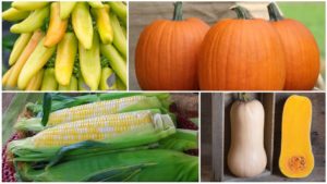New Vegetable Varieties Coming Your Way