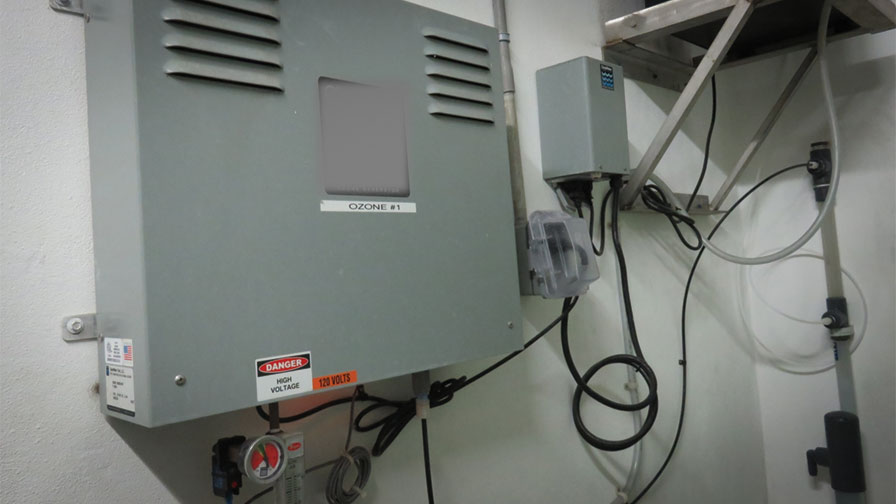 Food Safety: Once More Into the Ozone