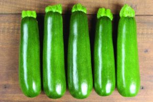 Zucchini: SV0914YG [Rupp Seeds]