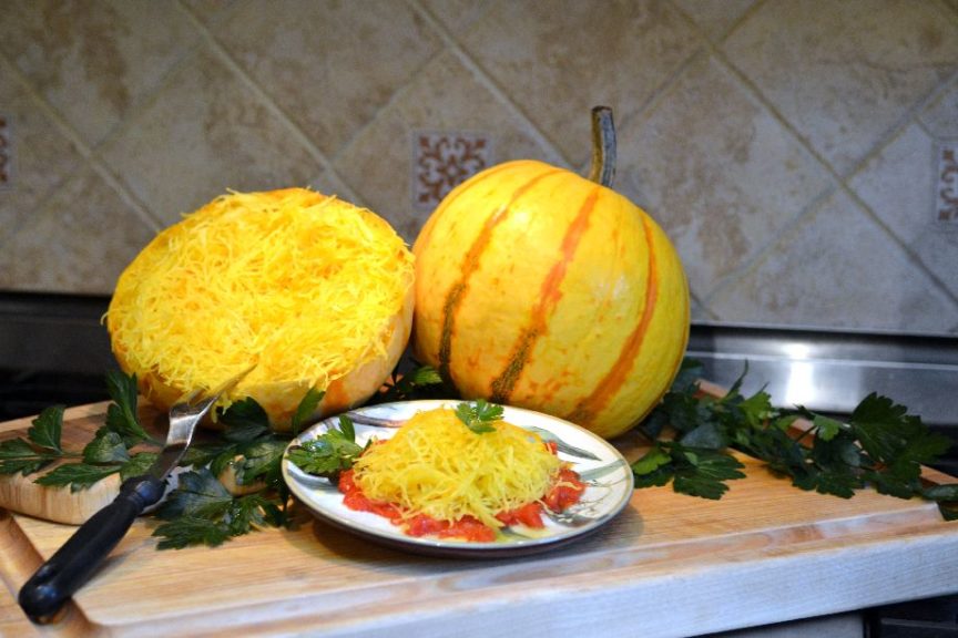 Spaghetti Squash: Millionaire [Outstanding Seed Company]