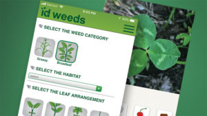 Smartphone Apps to Help You ID Weeds