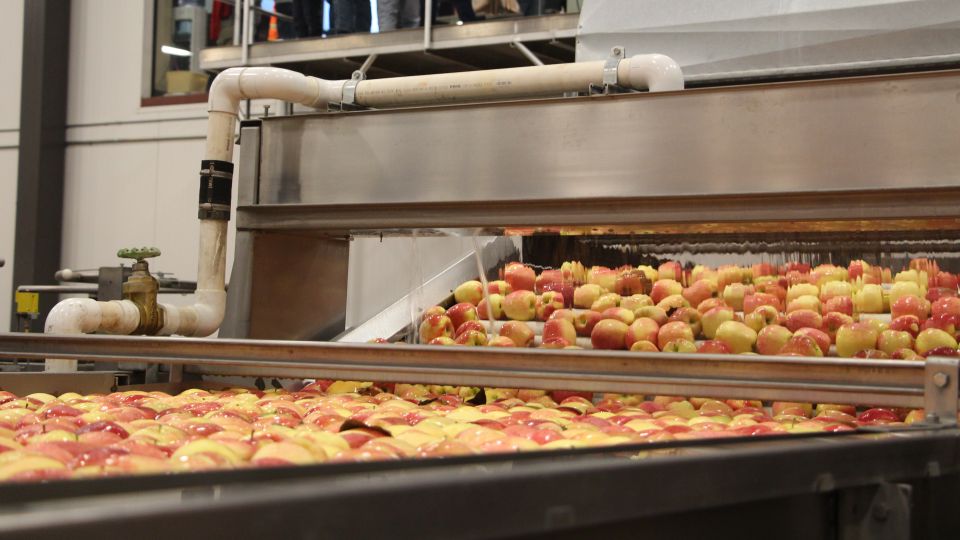 Apples, Nuts Hit with More Tariffs from India