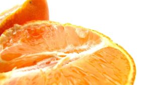 Florida Citrus Industry Annual Conference Education Sessions Go Online