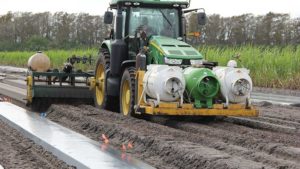 Tips for Sustainable Soil Disinfestation in Vegetables