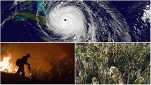 $16 Billion in Natural Disaster Relief Now Available for Farmers