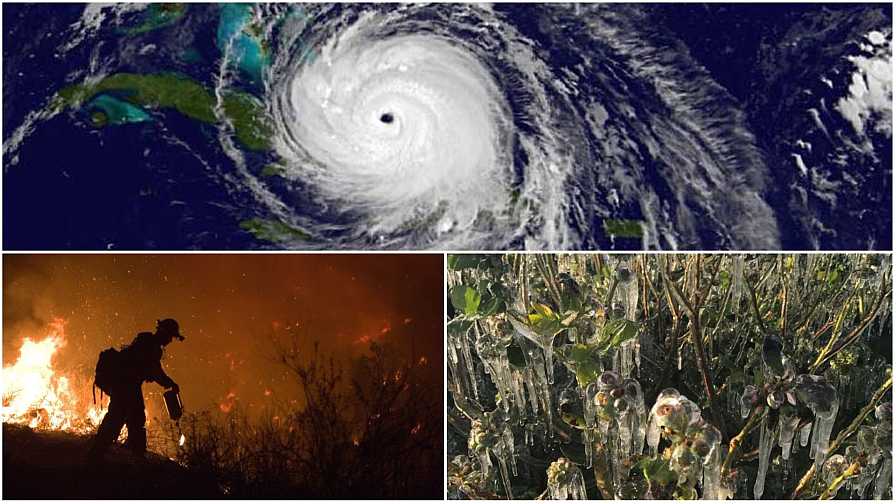 Extreme Weather Events in 2022 Took Toll on Fruit and Nut Crops