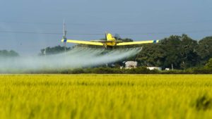PGR Now Available for Aerial Applications of Almond Orchards in California