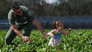 Florida Strawberry Pickers Rise to the Challenge for Charity